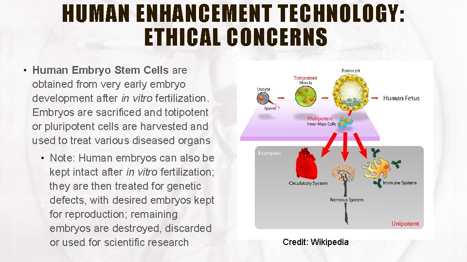 HUMAN ENHANCEMENT TECHNOLOGY: ETHICAL CONCERNS • Human Embryo Stem Cells are obtained from very