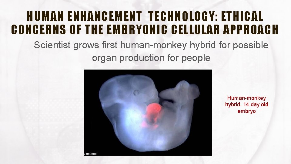 HUMAN ENHANCEMENT TECHNOLOGY: ETHICAL CONCERNS OF THE EMBRYONIC CELLULAR APPROACH Scientist grows first human-monkey