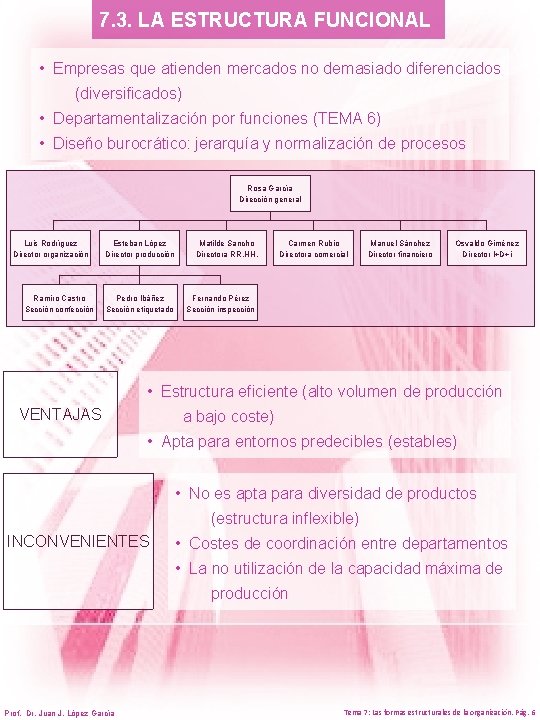 7. 3. LA ESTRUCTURA FUNCIONAL • Empresas que atienden mercados no demasiado diferenciados (diversificados)