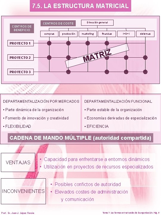 7. 5. LA ESTRUCTURA MATRICIAL CENTROS DE BENEFICIO CENTROS DE COSTE compras producción Dirección