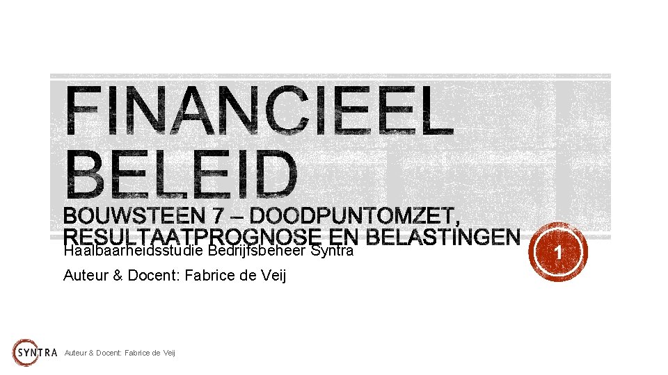 Haalbaarheidsstudie Bedrijfsbeheer Syntra Auteur & Docent: Fabrice de Veij 1 
