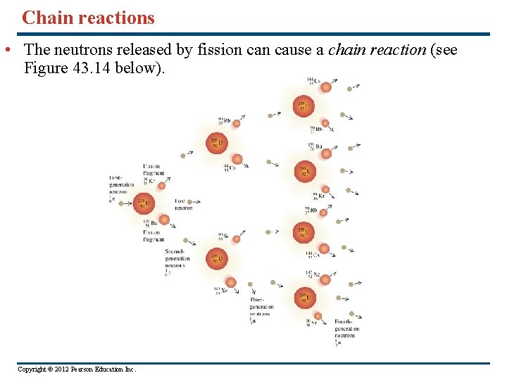 Chain reactions • The neutrons released by fission cause a chain reaction (see Figure