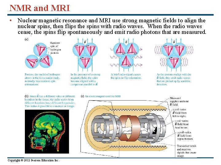 NMR and MRI • Nuclear magnetic resonance and MRI use strong magnetic fields to