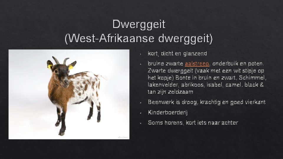 Geit Rassen Schapen geiten rassen Door Renske Wietske en Femke