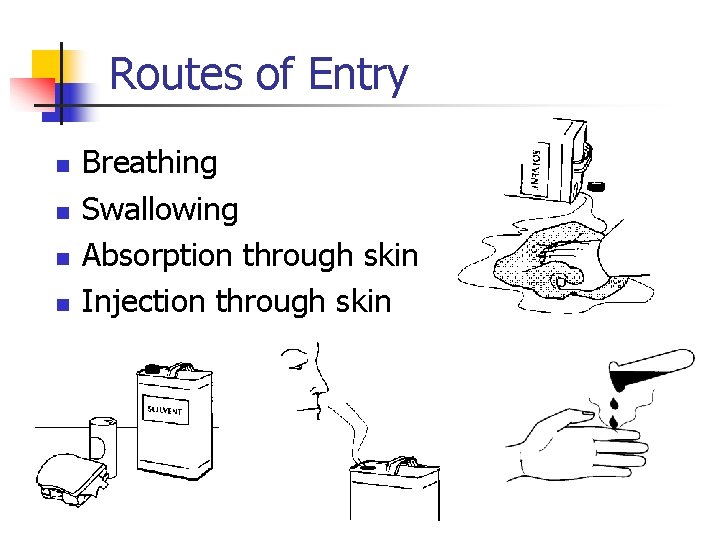 Routes of Entry n n Breathing Swallowing Absorption through skin Injection through skin 