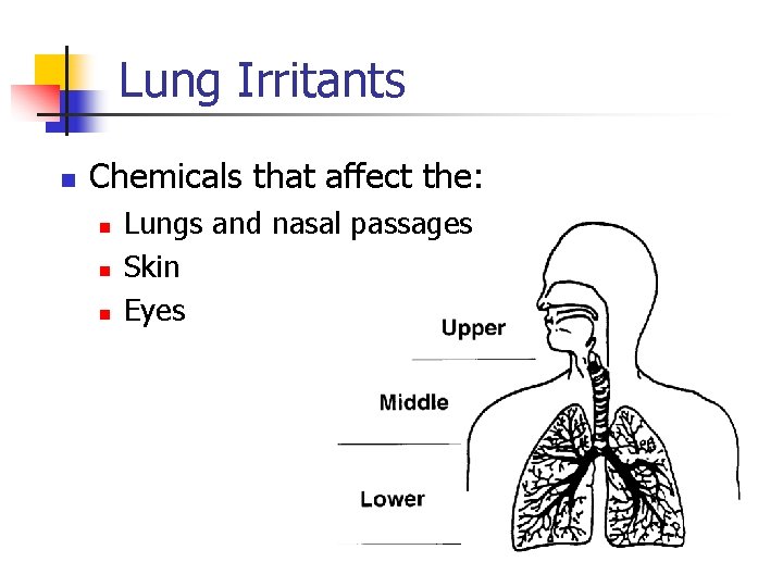 Lung Irritants n Chemicals that affect the: n n n Lungs and nasal passages