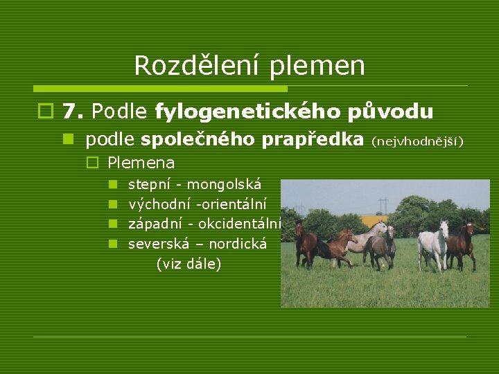 Rozdělení plemen o 7. Podle fylogenetického původu n podle společného prapředka o Plemena n