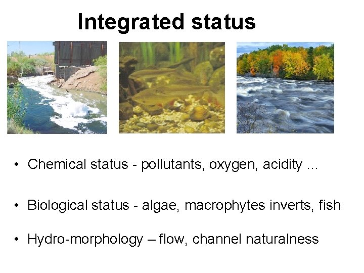 Integrated status • Chemical status - pollutants, oxygen, acidity. . . • Biological status