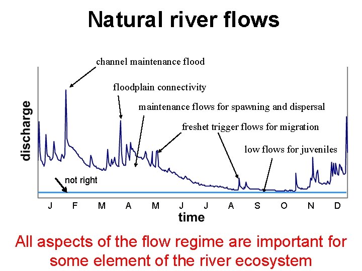 Natural river flows channel maintenance floodplain connectivity maintenance flows for spawning and dispersal freshet