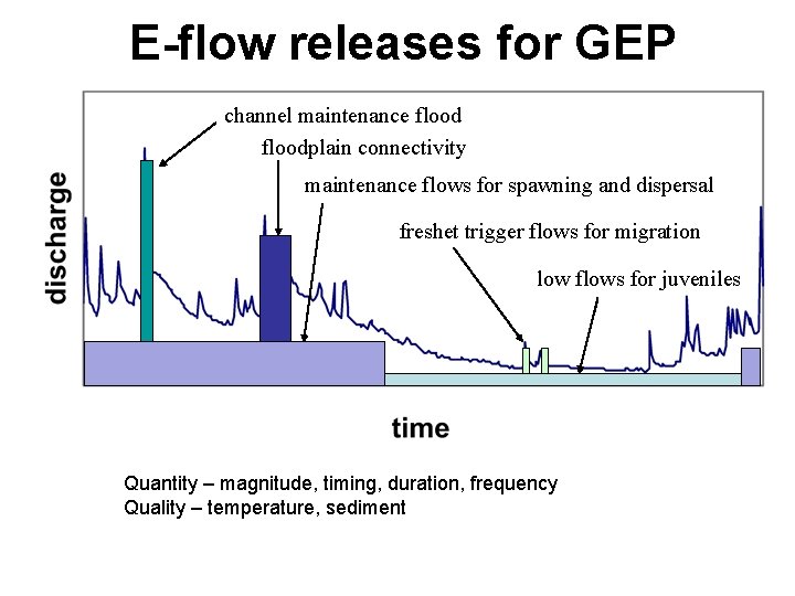 E-flow releases for GEP channel maintenance floodplain connectivity maintenance flows for spawning and dispersal