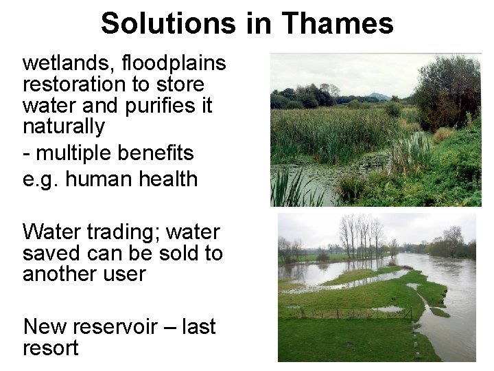 Solutions in Thames wetlands, floodplains restoration to store water and purifies it naturally -