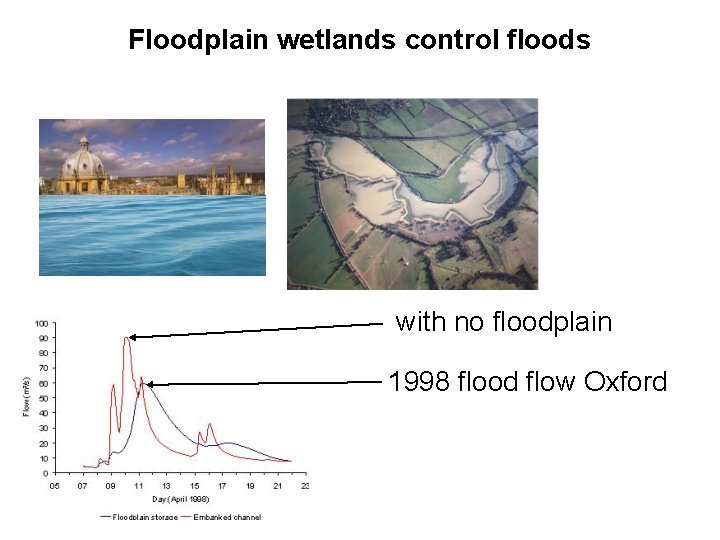 Floodplain wetlands control floods with no floodplain 1998 flood flow Oxford 