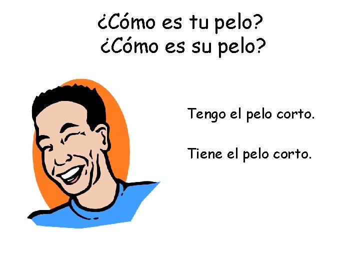 ¿Cómo es tu pelo? ¿Cómo es su pelo? Tengo el pelo corto. Tiene el