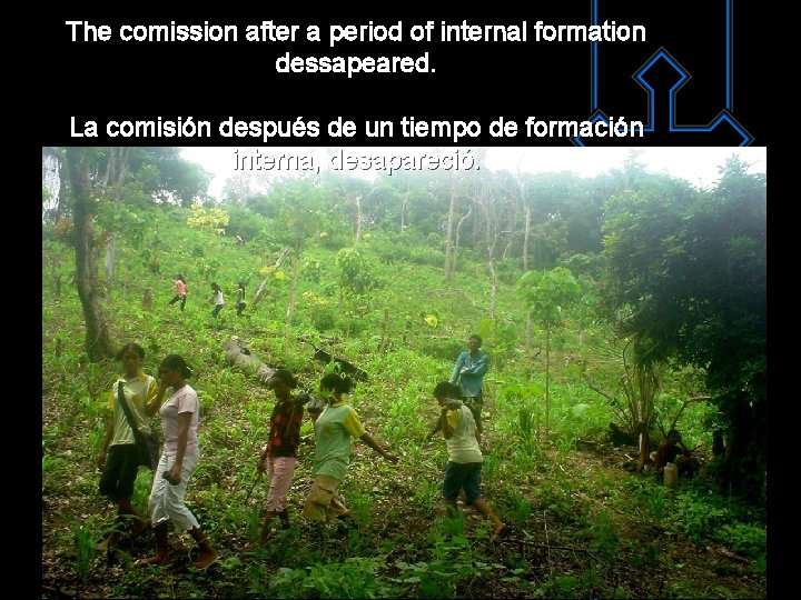 The comission after a period of internal formation dessapeared. La comisión después de un