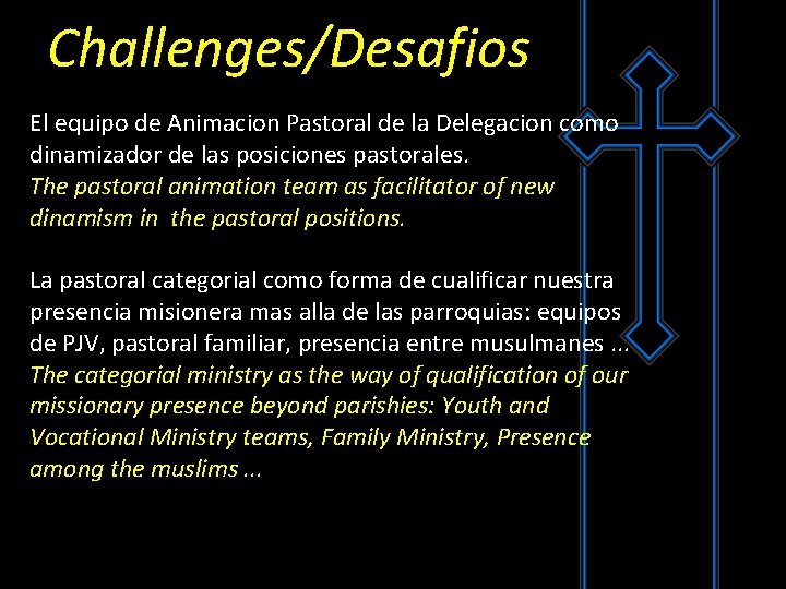 Challenges/Desafios El equipo de Animacion Pastoral de la Delegacion como dinamizador de las posiciones