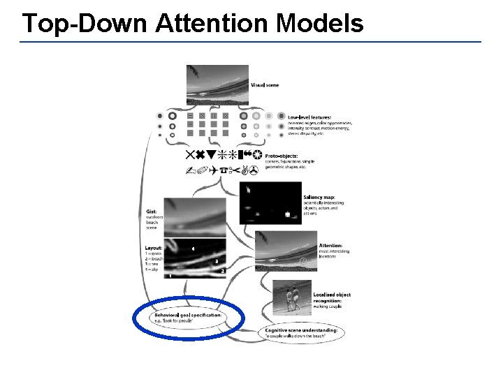 Top-Down Attention Models 