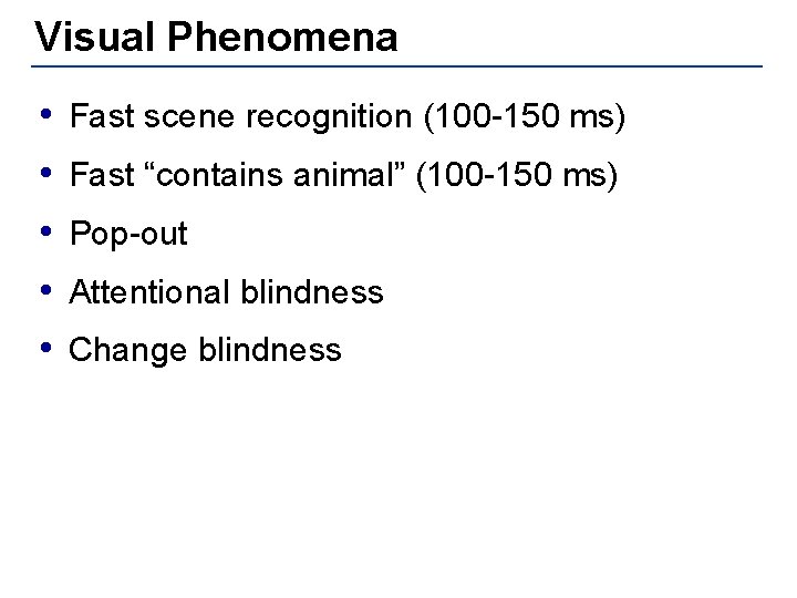 Visual Phenomena • Fast scene recognition (100 -150 ms) • Fast “contains animal” (100