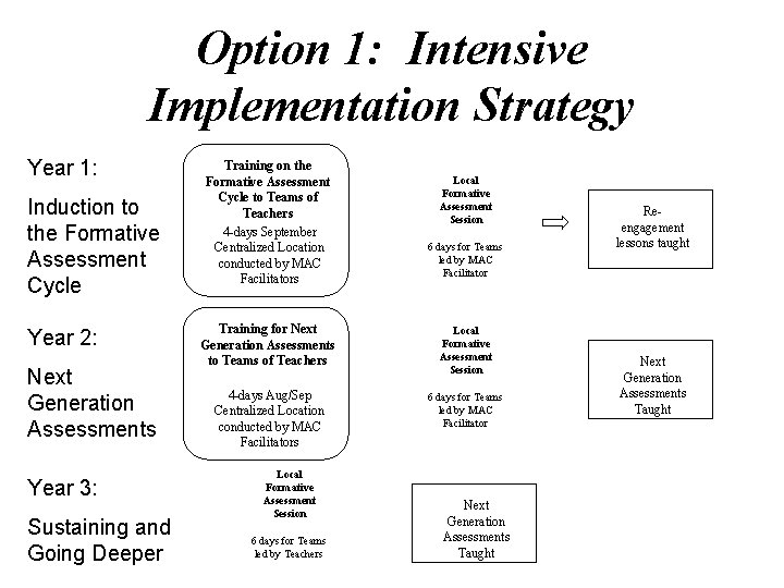 Option 1: Intensive Implementation Strategy Year 1: Induction to the Formative Assessment Cycle Year