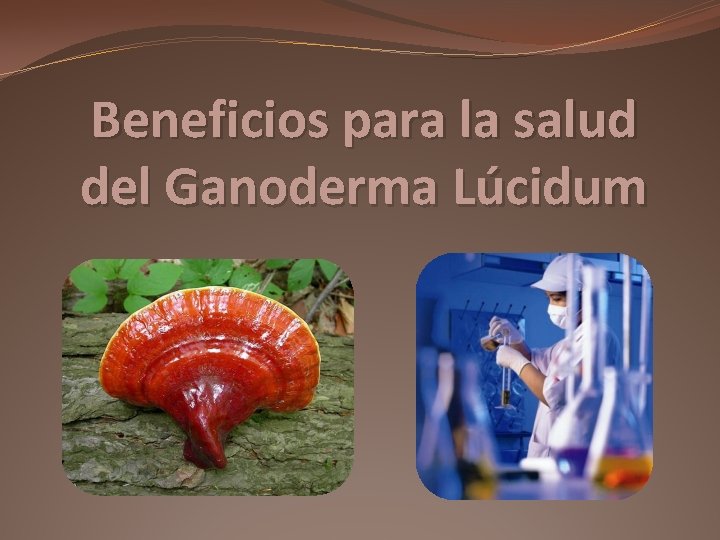 Beneficios para la salud del Ganoderma Lúcidum 