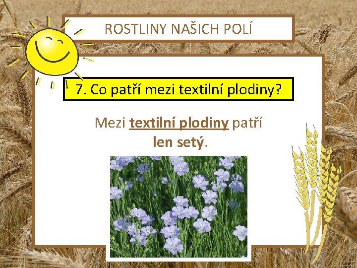 ROSTLINY NAŠICH POLÍ 7. Co patří mezi textilní plodiny? Mezi textilní plodiny patří len