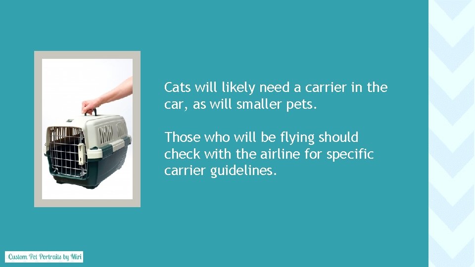 Cats will likely need a carrier in the car, as will smaller pets. Those