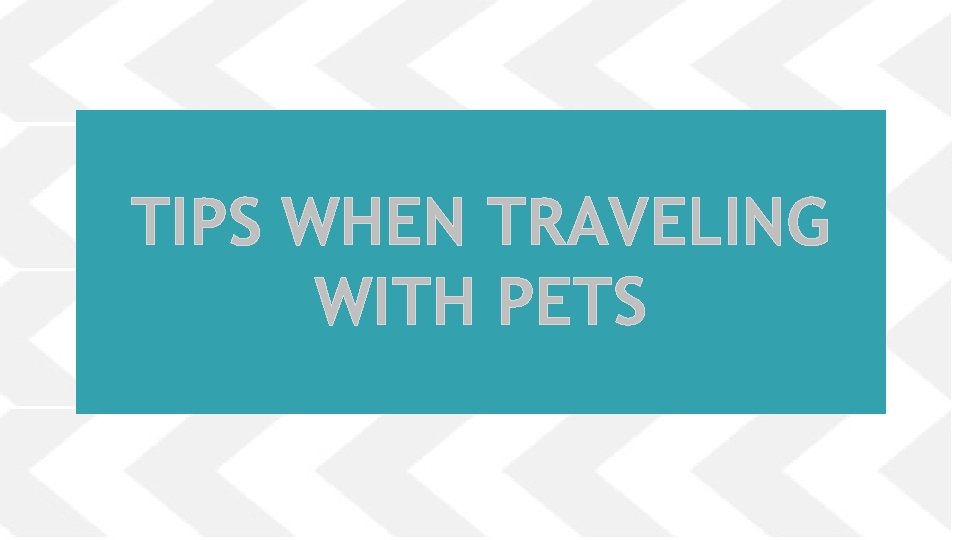 TIPS WHEN TRAVELING WITH PETS 