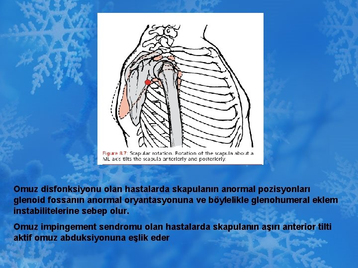Omuz disfonksiyonu olan hastalarda skapulanın anormal pozisyonları glenoid fossanın anormal oryantasyonuna ve böylelikle glenohumeral