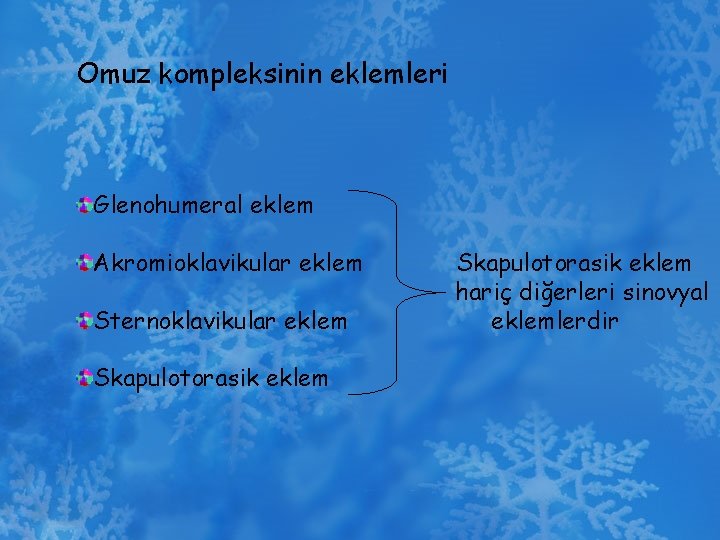 Omuz kompleksinin eklemleri Glenohumeral eklem Akromioklavikular eklem Sternoklavikular eklem Skapulotorasik eklem hariç diğerleri sinovyal