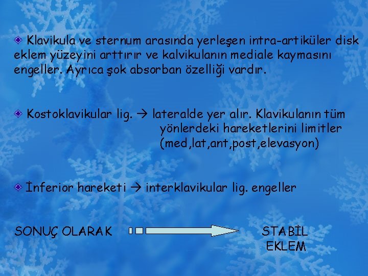Klavikula ve sternum arasında yerleşen intra-artiküler disk eklem yüzeyini arttırır ve kalvikulanın mediale kaymasını