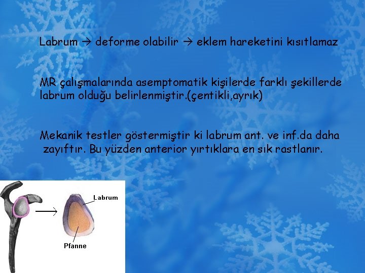 Labrum deforme olabilir eklem hareketini kısıtlamaz MR çalışmalarında asemptomatik kişilerde farklı şekillerde labrum olduğu
