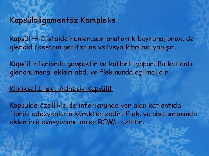 Kapsüloligamentöz Kompleks Kapsül Distalde humerusun anatomik boynuna, prox. de glenoid fossanın periferine ve/veya labruma