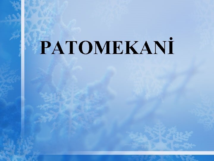 PATOMEKANİ 