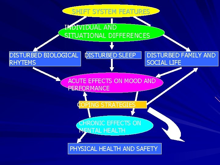 SHIFT SYSTEM FEATURES INDIVIDUAL AND SITUATIONAL DIFFERENCES DISTURBED BIOLOGICAL RHYTEMS DISTURBED SLEEP DISTURBED FAMILY