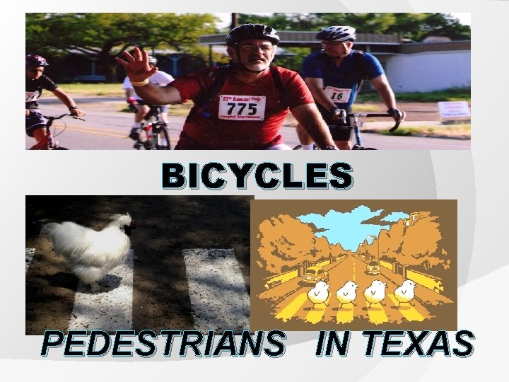 Why did the Chicken Cross the Road BICYCLES PEDESTRIANS IN TEXAS 