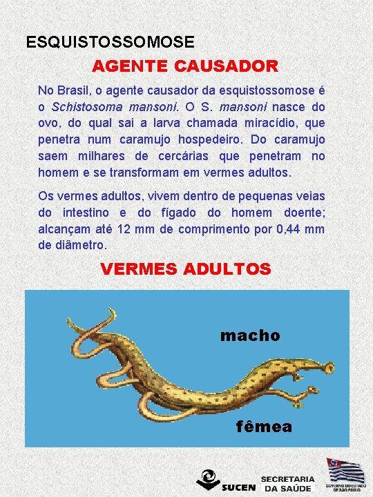 ESQUISTOSSOMOSE HISTRICO A esquistossomose uma doena conhecida desde