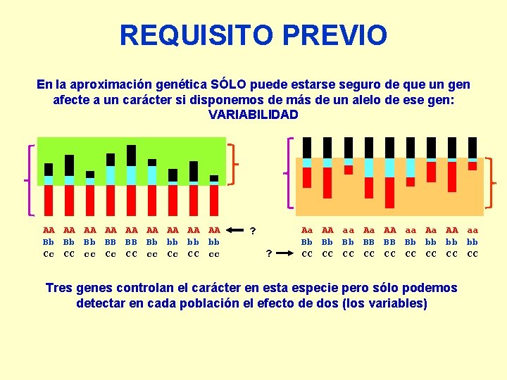 REQUISITO PREVIO En la aproximación genética SÓLO puede estarse seguro de que un gen