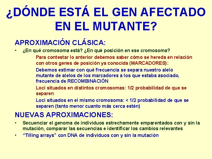 ¿DÓNDE ESTÁ EL GEN AFECTADO EN EL MUTANTE? APROXIMACIÓN CLÁSICA: • ¿En qué cromosoma