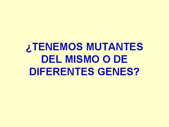 ¿TENEMOS MUTANTES DEL MISMO O DE DIFERENTES GENES? 