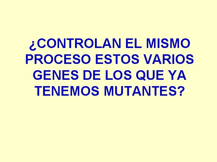 ¿CONTROLAN EL MISMO PROCESO ESTOS VARIOS GENES DE LOS QUE YA TENEMOS MUTANTES? 