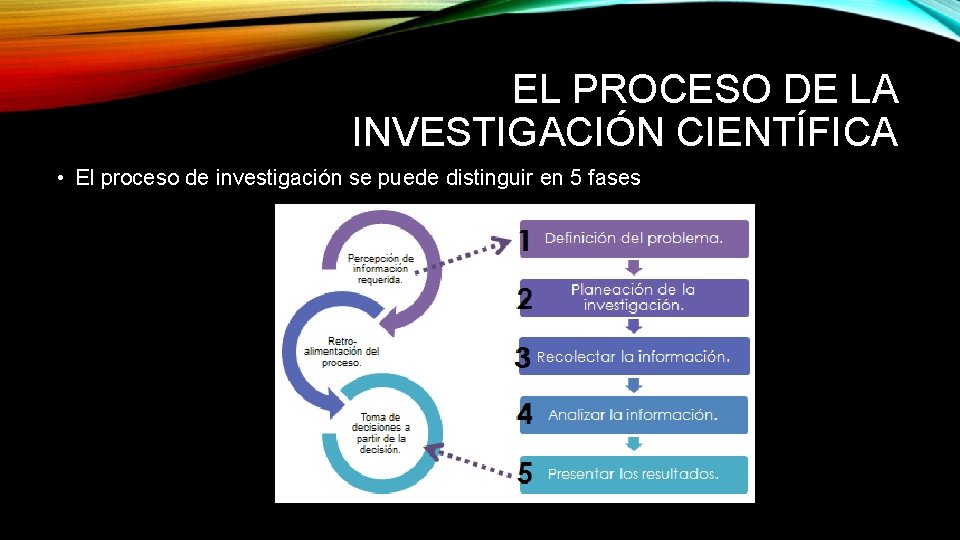 EL PROCESO DE LA INVESTIGACIÓN CIENTÍFICA • El proceso de investigación se puede distinguir