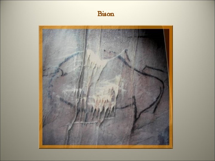 Bison 