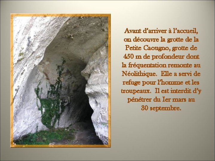 Avant d’arriver à l’accueil, on découvre la grotte de la Petite Caougno, grotte de