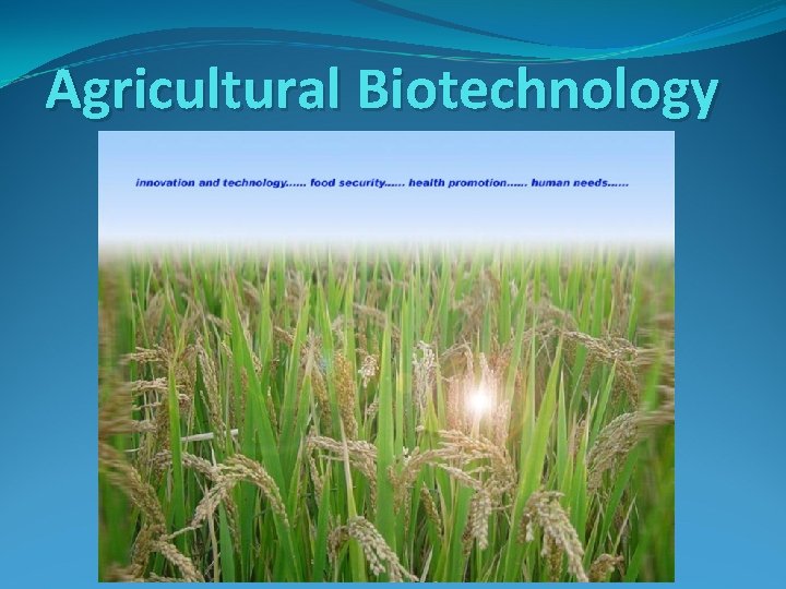Agricultural Biotechnology 