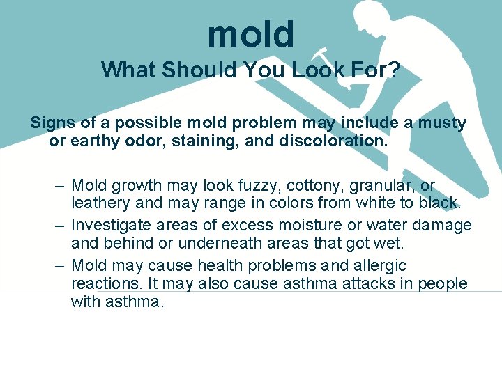 mold What Should You Look For? Signs of a possible mold problem may include