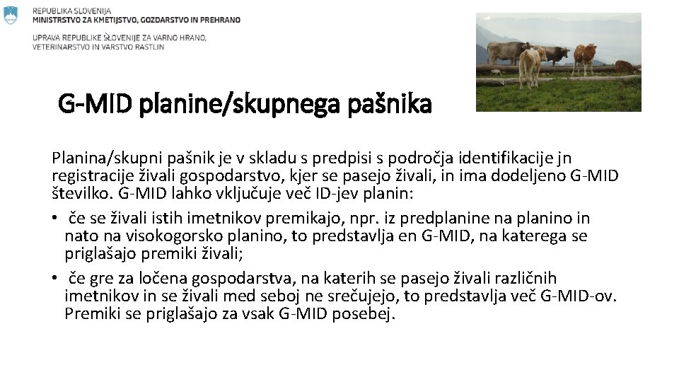 G-MID planine/skupnega pašnika Planina/skupni pašnik je v skladu s predpisi s področja identifikacije jn