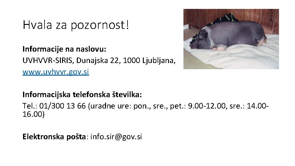 Hvala za pozornost! Informacije na naslovu: UVHVVR-SIRIS, Dunajska 22, 1000 Ljubljana, www. uvhvvr. gov.