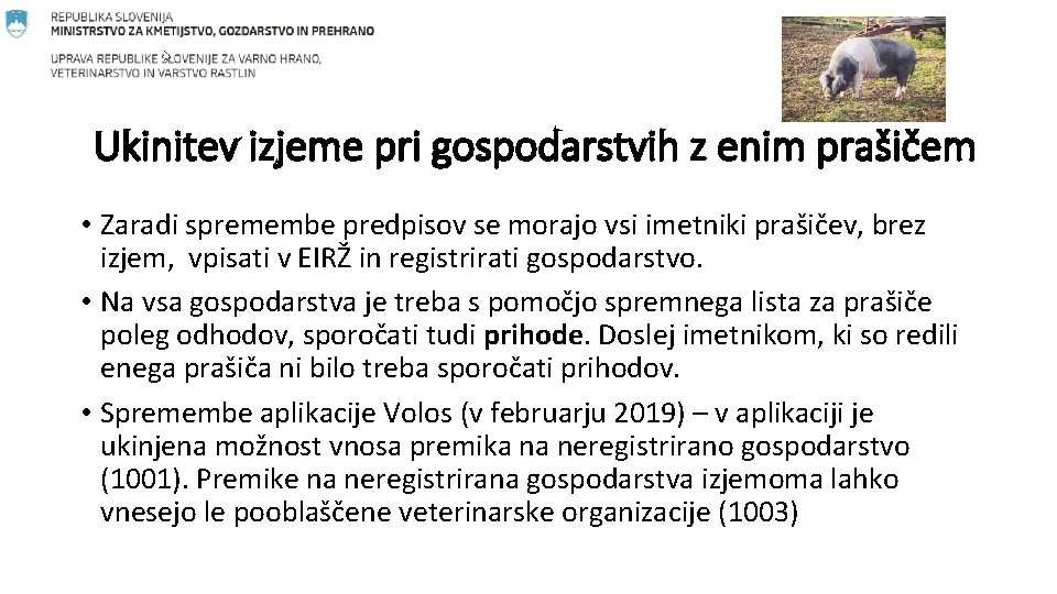 Ukinitev izjeme pri gospodarstvih z enim prašičem • Zaradi spremembe predpisov se morajo vsi