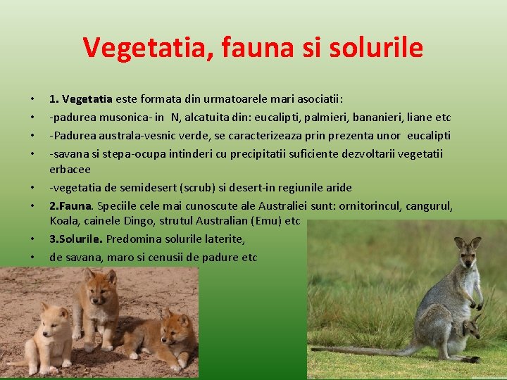 Vegetatia, fauna si solurile • • 1. Vegetatia este formata din urmatoarele mari asociatii:
