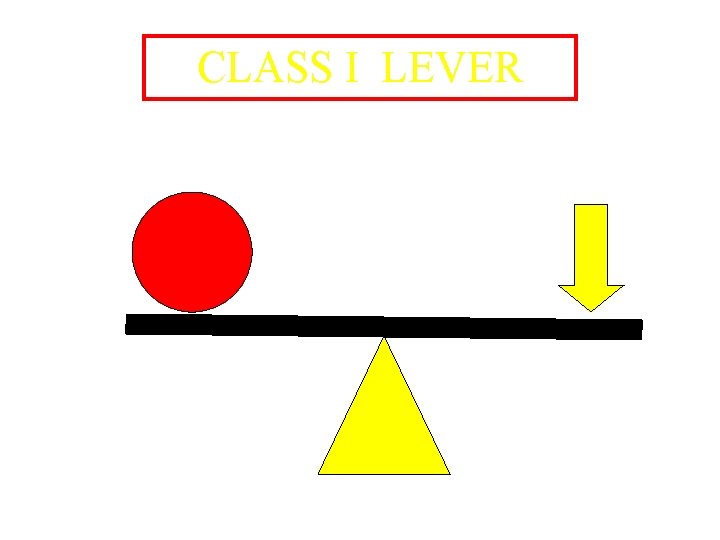 CLASS I LEVER 