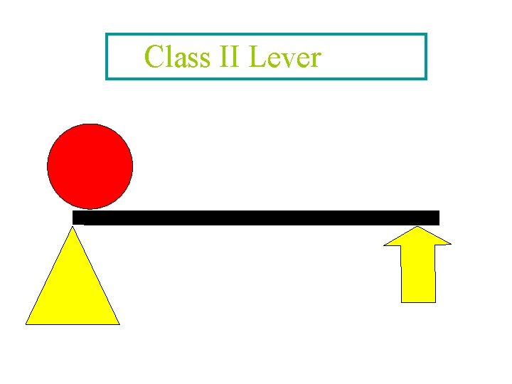 Class II Lever 